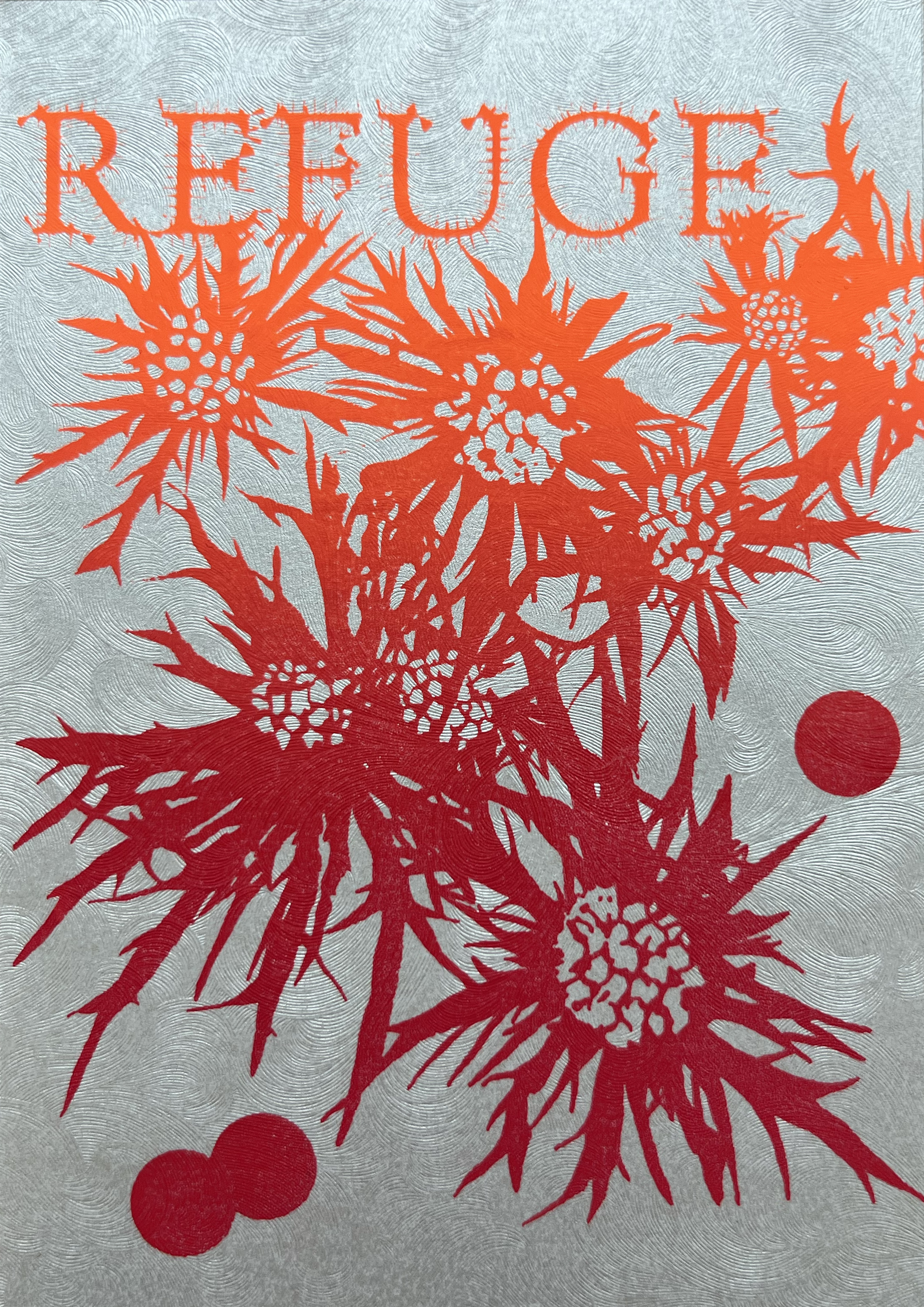 Chlotorica ouverture